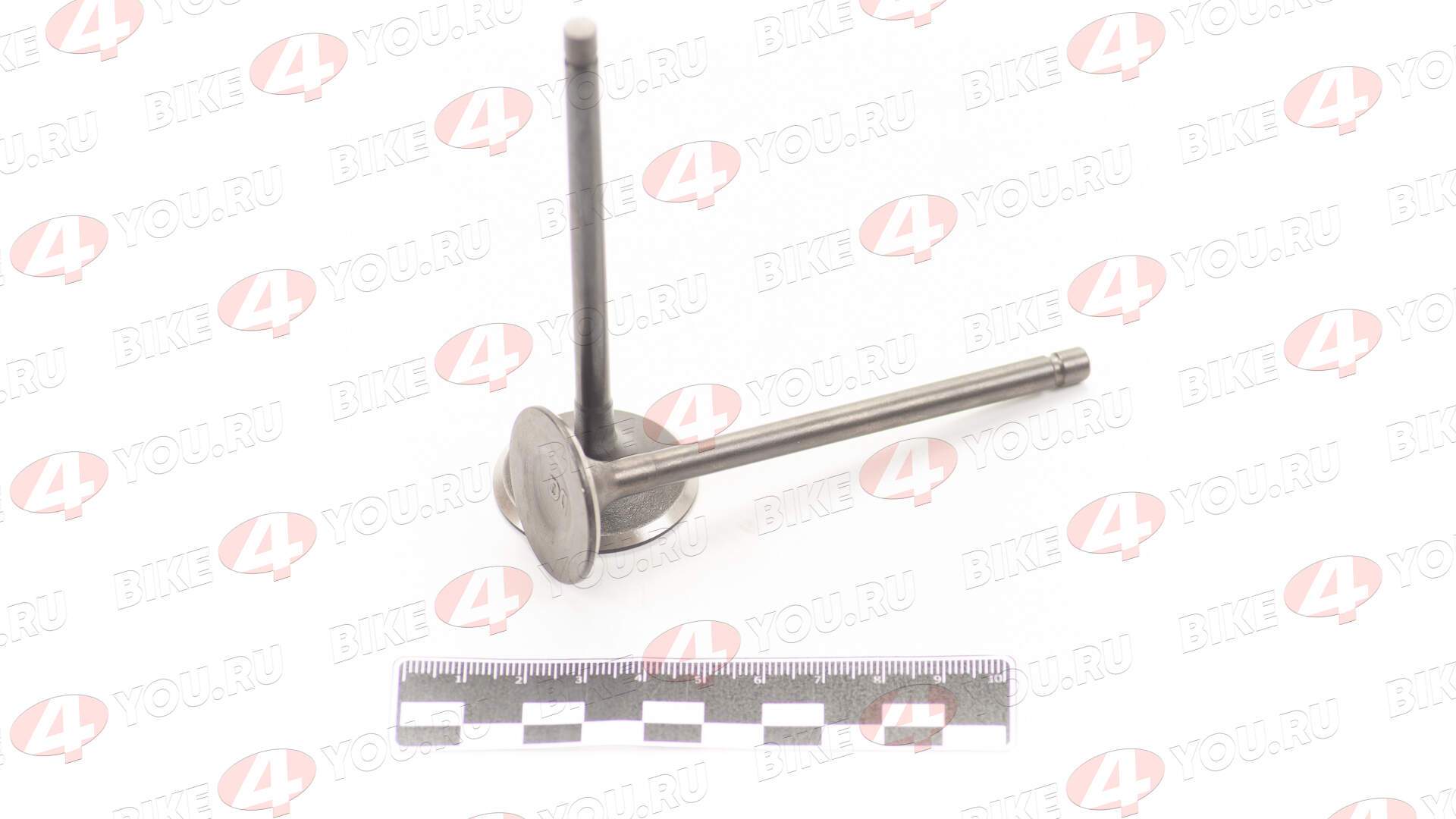 Клапаны впуск+выпуск ГРМ 194MQ (NC450) (компл 4шт) ZS