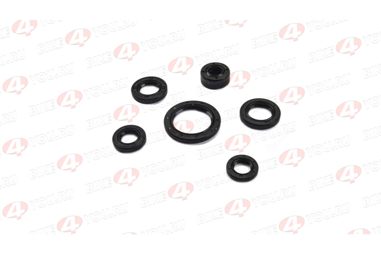 Сальник (полный набор) 139FMB, 147FMH, 152FMH, 153FMH 50-110см3 