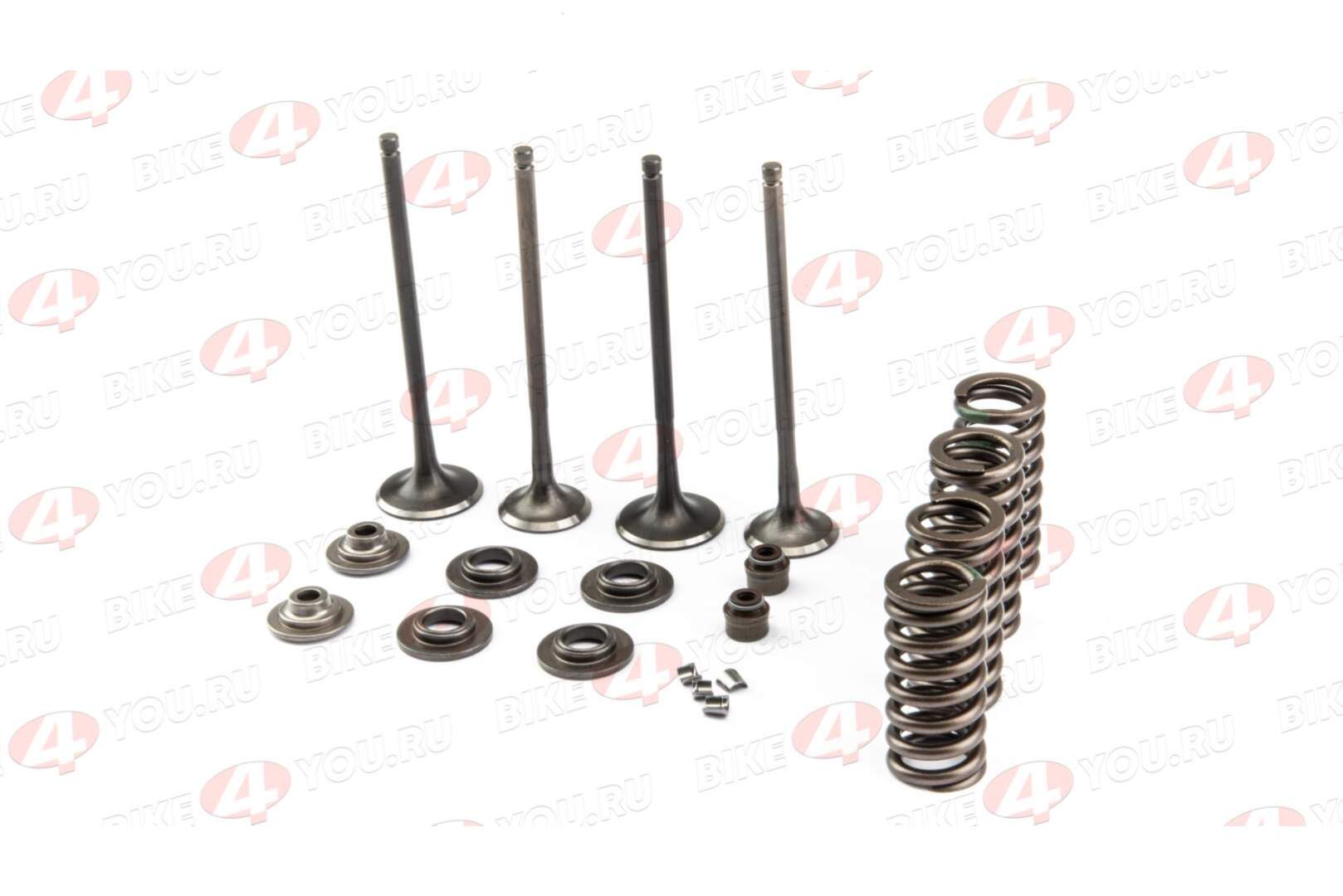 Ремкомплект клапанов ГРМ 174MN-3 (CBS300) ZS